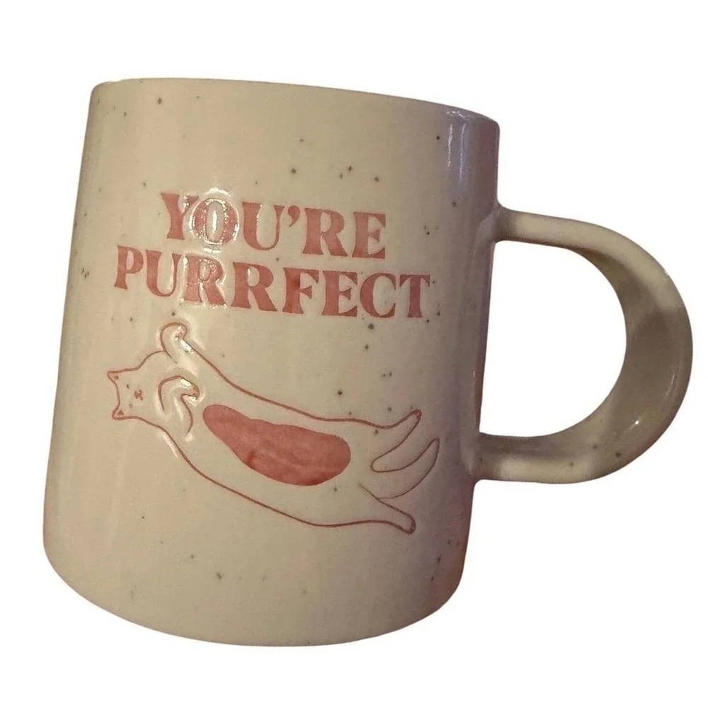Youre Purrfect Cat Themed Room Essentials Stoneware Mug Cream Speckle New